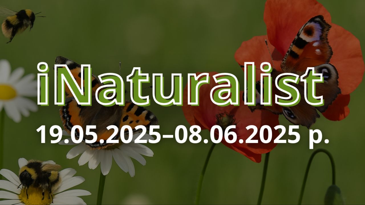 Долучайся до учасників біобліцу на iNaturalist!