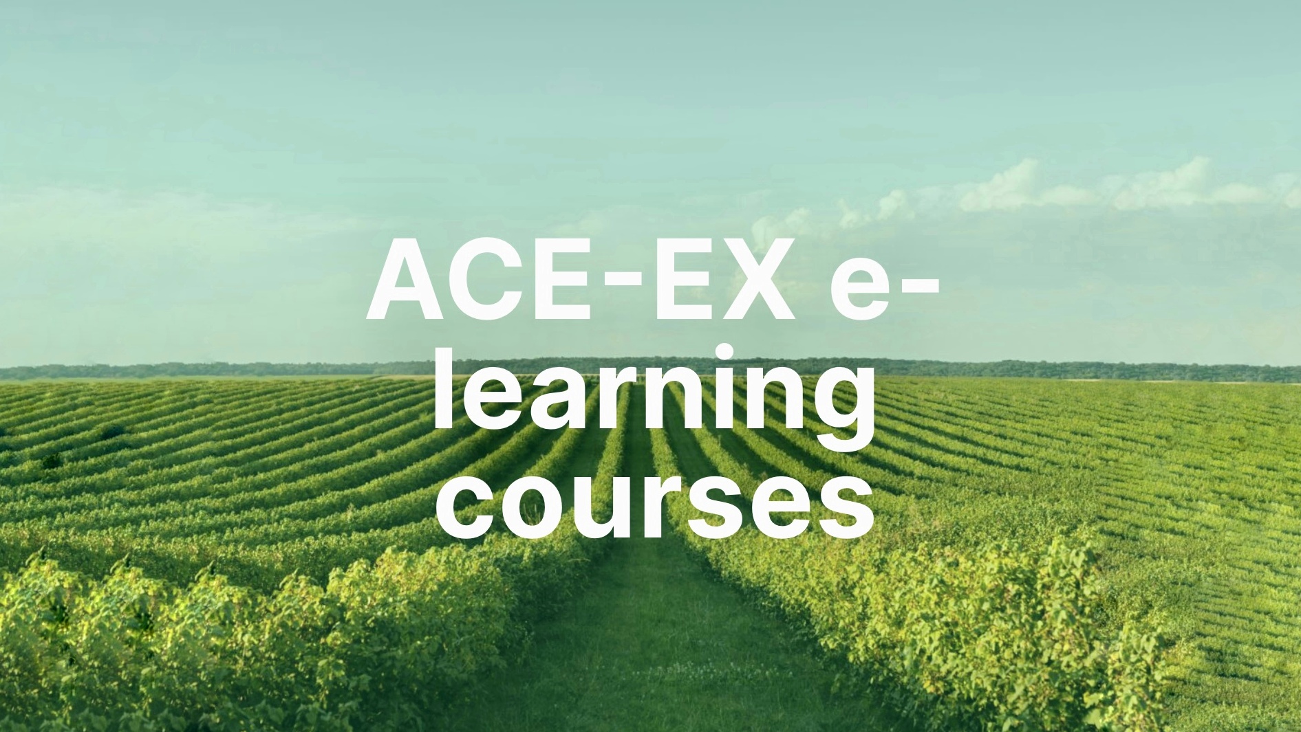 Початок реєстрації на міжнародний освітній курс ACE-EX